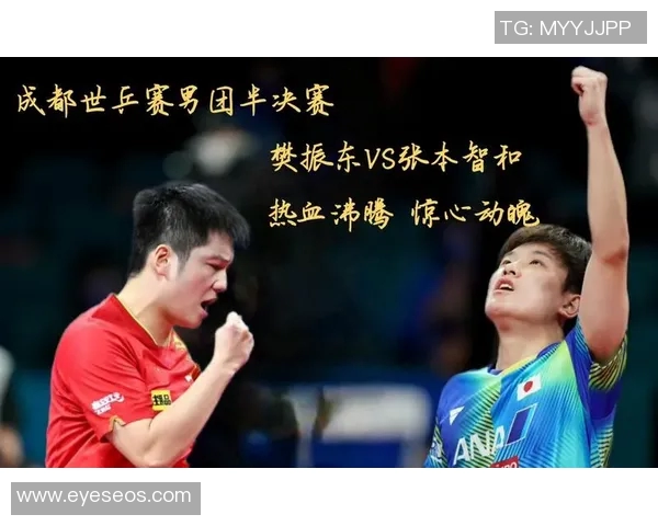 成都乒乓球队的比赛经验分享与成长之路探讨