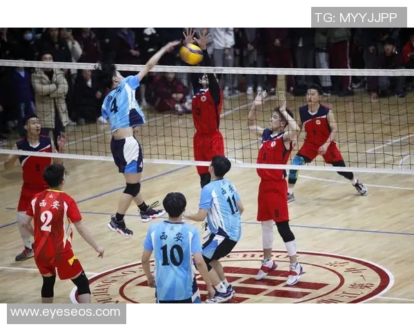 西安排球队实力强劲排球实力排行榜第六名引关注